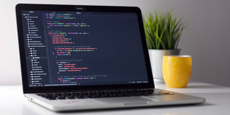 Developer building a custom website